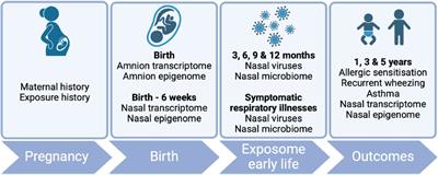 Airway epithelium respiratory illnesses and allergy (AERIAL) birth cohort: study protocol